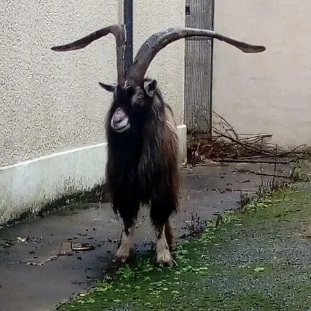 Mary's Of Πανσιόν